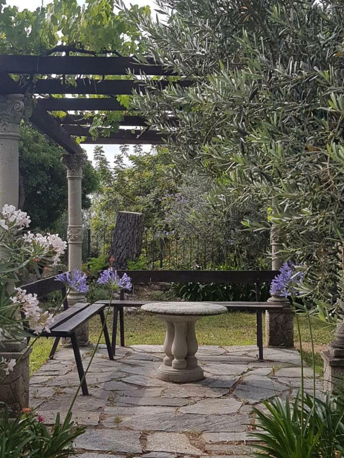 Villa Fior Di Lavanda Cisano sul Neva Eksteriør bilde