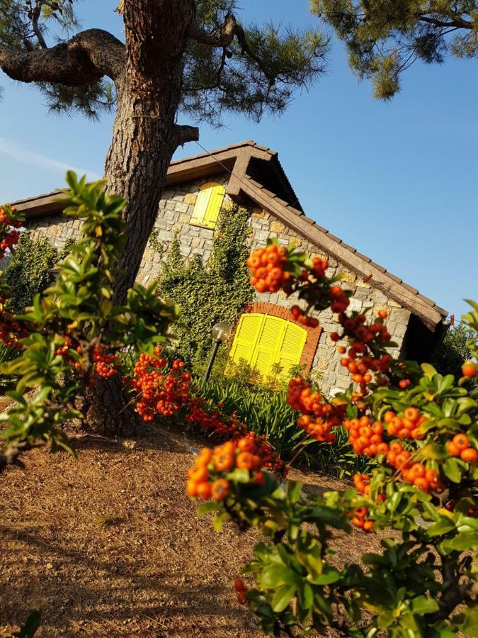 Villa Fior Di Lavanda Cisano sul Neva Eksteriør bilde